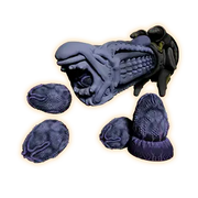Ovipositori