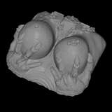 Renderizado 3D del masturbador Lilith para boobjob, mostrando un juguete de silicona con forma de pechos, cadenas, garras y detalles de fantasía de la Reina del Infierno.