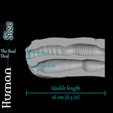 Doorsnede van de Human-masturbator met dubbele opening, met een tunnellengte van 18 cm, lichaamsbreedte van 8,2 cm en getextureerde openingen van 1,3 cm en 1,6 cm. - product media 4